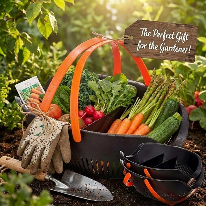 Nuogo 3 Pcs Garden Harvest Basket, Removable Partitions with Tool Caddy for Collecting, Carrying, and Cleaning Harvesting Basket Doubles as a Colander for Vegetables and Fruits Garden Accessories - Image 7