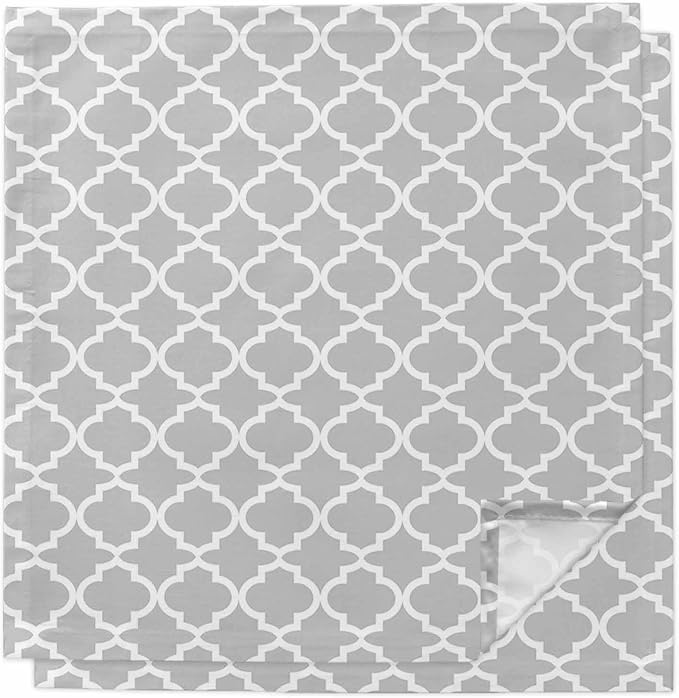 Cloth Napkins Set of 2-20x20 Inches, Light Gray Washable Reusable Table Napkins, Minimalist Boho Abstract Ethnic Motifs Soft & Absortbent Dining Napkin for Party Wedding Hotel Restaurant by Unknown