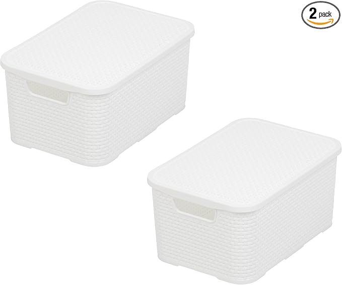 BranQ Home essential Basket with Lid in Rattan Design, Set of 2, Size M, 19 L, BPA-Free Plastic PP, White, 28.8 x 19.7 x 16.2 cm, Pack of 2 by Unknown