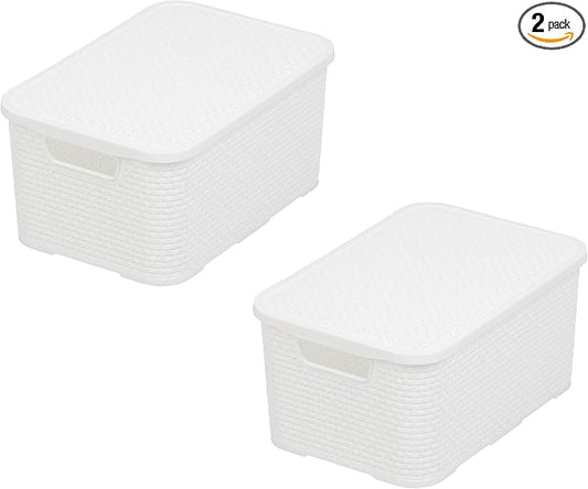 BranQ Home essential Basket with Lid in Rattan Design, Set of 2, Size M, 19 L, BPA-Free Plastic PP, White, 28.8 x 19.7 x 16.2 cm, Pack of 2 by Unknown