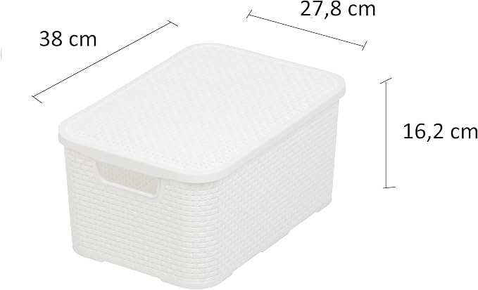 BranQ Home essential Basket with Lid in Rattan Design, Set of 2, Size M, 19 L, BPA-Free Plastic PP, White, 28.8 x 19.7 x 16.2 cm, Pack of 2 - Image 2