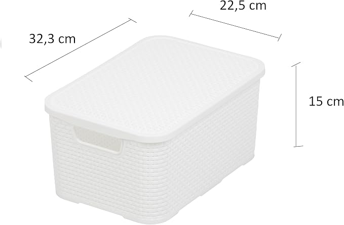 BranQ Home essential Basket with Lid in Rattan Design, Set of 2, Size M, 10 L, BPA-Free Plastic PP, White, 32.3 x 22.5 x 15 cm, Pack of 2 - Image 2