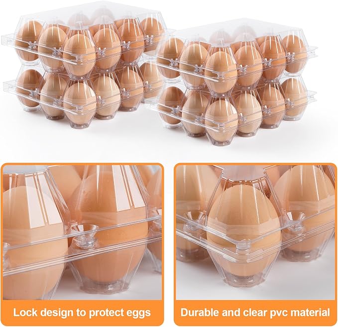 160 Pack Egg Cartons Cheap Bulk,Plastic Egg Carton 3x4 Grids | 12 Count Clear Egg Cartons, Reusable Egg Holder Egg Trays for Family, Chicken Farm, Markets Display - Medium Egg Container - Image 3