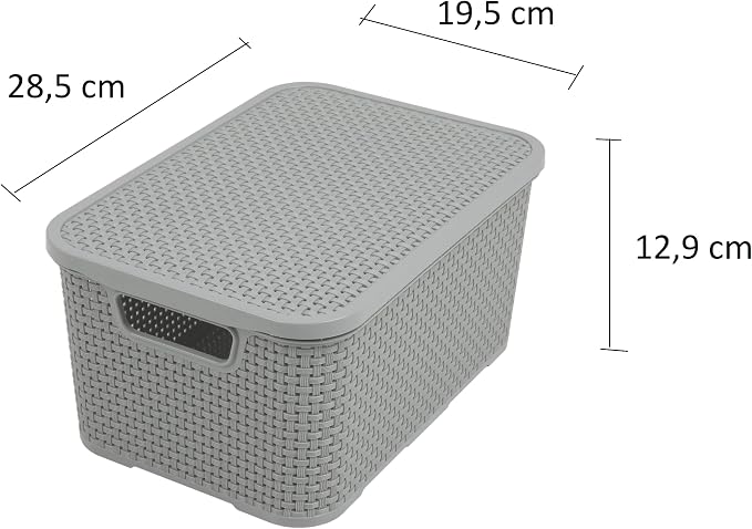 BranQ - Home essential Set of 2 baskets with lid in rattan design, size S 7 L, BPA free, PP plastic, light gray, 28.5 x 19.5 x 12.9 cm, 2 pieces, S - Image 2