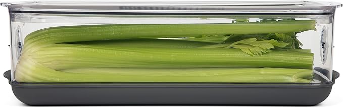 Progressive ProKeeper Stackable Produce ProKeeper Storage Container with Stay-Fresh Vent System (PKS-917 (5.7qt Long Produce)) - Image 5
