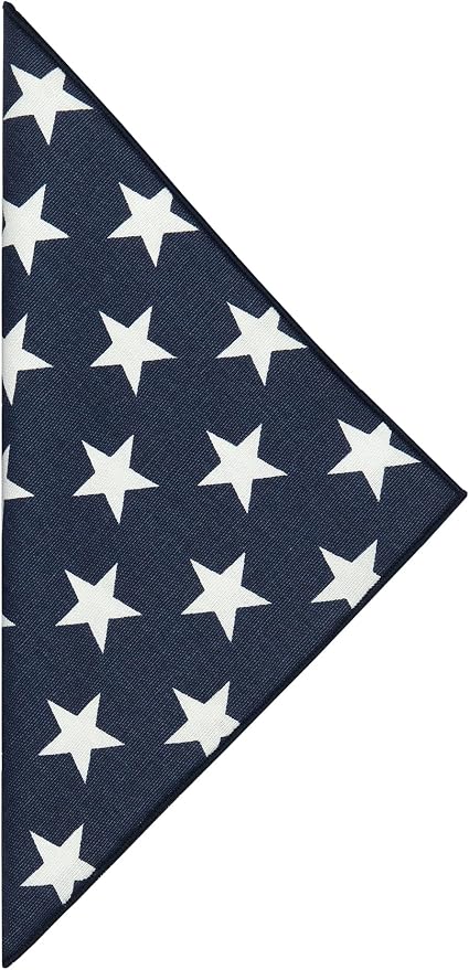 Blue and White Cloth Napkins Dinner, July 4 Decor Patriotic, Mix with Red White and Blue Stars and Stripes, 100% Cotton Linen Napkins 18" x 18" Pk 4 - Image 2
