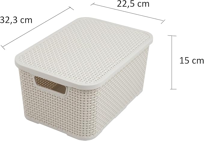 BranQ - Home essential Basket in Rattan Design Set of 3 Size M 10L Plastic PP Cream 28.8 x 19.7 x 16.2 cm (L x W x H) - Image 2