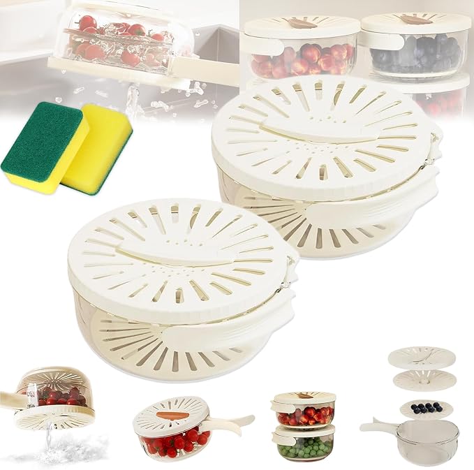2026 New 2-in-1 Draining and Preservation Basket: Simplify Washing & Storing, Multifunctional Fruit and Vegetable Washing Bowl, Drain & Freshness Basket with Foldable Handle, Strainer, Lid (MIX#A, L) by hwqsad