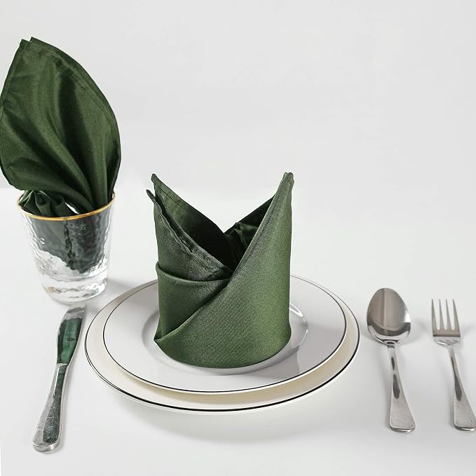 Cloth Napkins 20x20 inch Washable Polyester Dinner Napkins Soft Table Napkins for Wedding Party Dining Banquet(Willow,12PCS) - Image 5