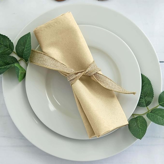 Efavormart Premium Cloth Napkins Set of 10, 20x20 Inch Champagne Seamless Dinner Napkins, Washable Linen Table Napkin Cloth with Hemmed Edges for Weddings, Party and Banquet by efavormart