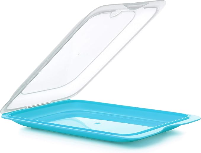 TATAY Cold Cuts Container Standard 17x3.2x25.2 cm BPA-Free Fridge Storage | Cold Cuts Container | Dishwasher Safe | Microwave Safe | Freezer Safe | Stackable Design | Removable Lid | 1 Unit, Blue by TATAY