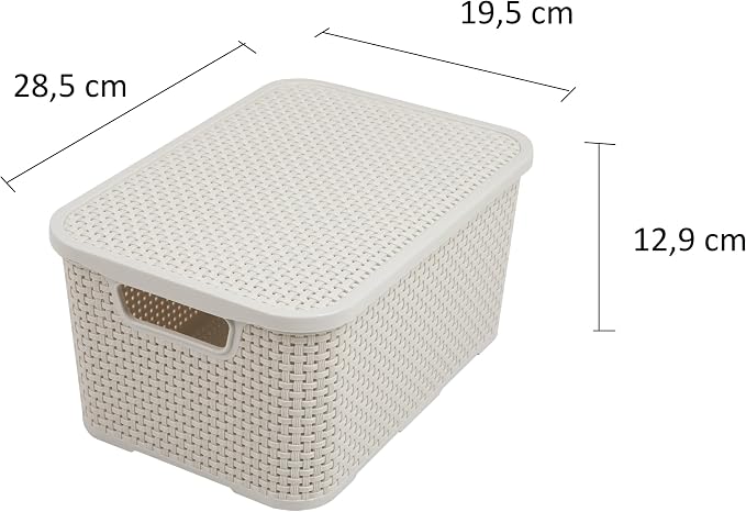 BranQ - Home essential 5901098045704 Rattan Basket Set of 3 Size S 7L Plastic PP Cream 28.5 x 19.5 x 12.9 cm (L x W x H) - Image 2