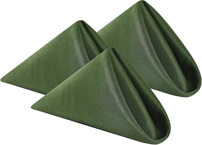 Cloth Napkins 20x20 inch Washable Polyester Dinner Napkins Soft Table Napkins for Wedding Party Dining Banquet(Willow,12PCS) by Cupuamon