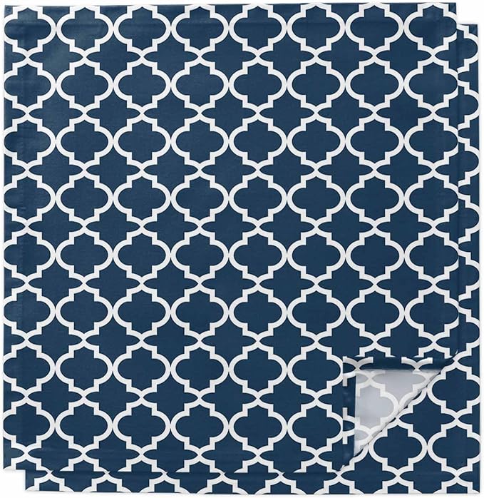 Cloth Napkins Set of 2-20x20 Inches, Lake Blue Moroccon Washable Reusable Table Napkins, Minimalist Ethnic Bohemian Aesthetic Soft & Absortbent Dining Napkin for Party Wedding Hotel Restaurant by Unknown