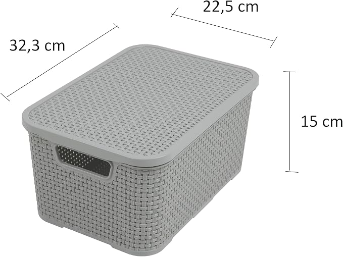 Branq - Home essential Lid Basket in Rattan Design Size M 10 L BPA- Plastic PP Light Grey 28.8 x 19.7 x 16.2 cm 2 Pieces M - Image 2
