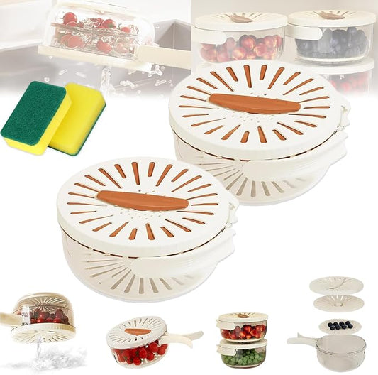 2026 New 2-in-1 Draining and Preservation Basket: Simplify Washing & Storing, Multifunctional Fruit and Vegetable Washing Bowl, Drain & Freshness Basket with Foldable Handle, Strainer, Lid (MIX#C, S) by hwqsad