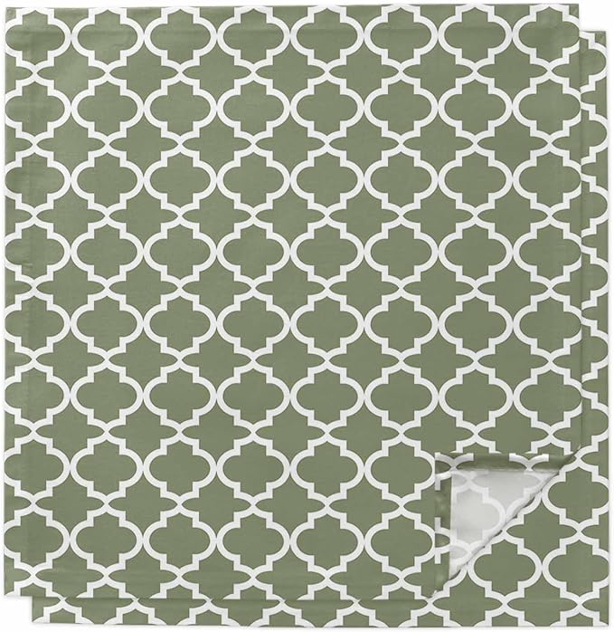 Cloth Napkins Set of 2-20x20 Inches, Green Morocco Washable Reusable Table Napkins, Boho Farmhouse Abstract Geometric Simple Soft & Absortbent Dining Napkin for Party Wedding Hotel Restaurant by Unknown