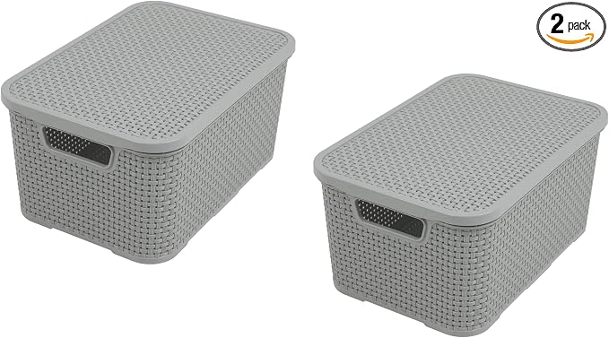 BranQ - Home essential Set of 2 baskets with lid in rattan design, size S 7 L, BPA free, PP plastic, light gray, 28.5 x 19.5 x 12.9 cm, 2 pieces, S by Unknown