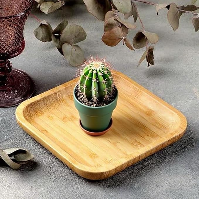 JOIKIT 3 Pack 8 Inch Bamboo Platter, Fine Polished Sqaure Wood Dinner Plates Bamboo Serving Tray for Holding Fruit, Bread, Cheese, Nut, Coffee, Tea, Plant Saucer - Image 4