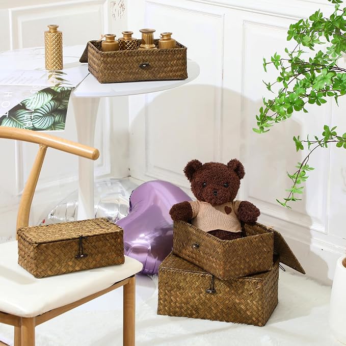 Woanger Set of 4 Wicker Storage Baskets Organizer，Handwoven Storage Bins with Lid for Organizing, Home Utility Box for Home Office Supplies Multipurpose Container(Retro Color) - Image 3