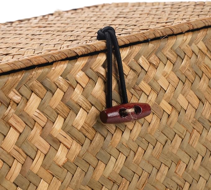 Wicker Basket with Lid, Seagrass Storage Basket, Woven Baskets for Storage, Decorative Storage Baskets for Shelf Organizing, Natural - Image 2
