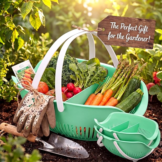 Nuogo 3 Pcs Garden Harvest Basket Removable Partitions with Tool Caddy for Collecting Carrying and Cleaning Harvesting Basket Doubles Colander for Vegetables and Fruits Garden Accessories (Sage Green) - Image 6