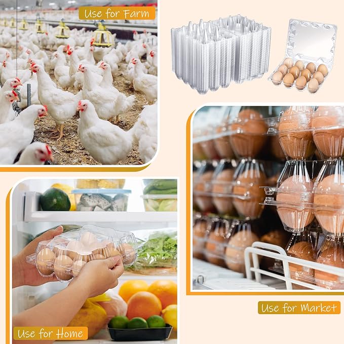 Zubebe 3 x 4 Count 200 Pack Egg Carton Bulk Clear Plastic Empty Egg Containers for Farm Market Refrigerator Storage - Image 7