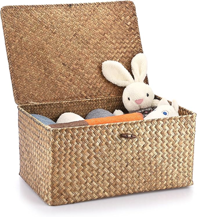 Hipiwe Wicker Shelf Baskets Bin with Lid Woven Storage Box, Coffee X-Large | Handmade Seagrass Basket Storage Bins Rectangular Household Basket Boxes for Shelf Wardrobe Home Organizer by Hipiwe