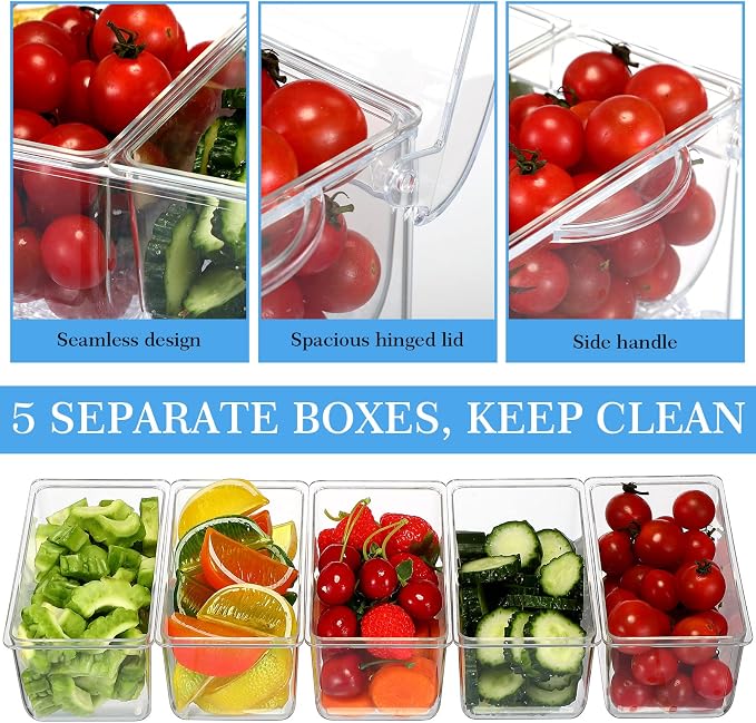 2 Pieces 5 Chilled Condiment Server with Hinged Lid Condiment Tray with Ice Chamber Cooled Compartment Container Caddy Organizer Removable Dishes for Salad Fruit Cheese Outdoor Party Bar Supplies - Image 4