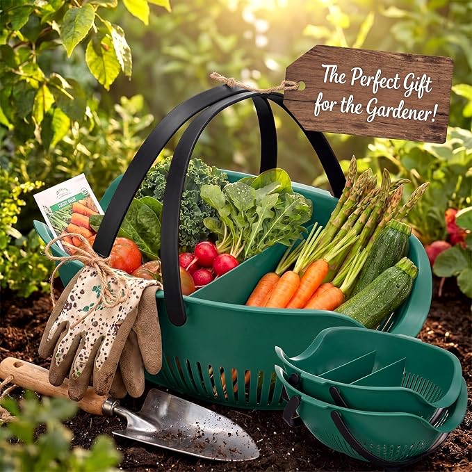 Nuogo 3 Pcs Garden Harvest Basket Removable Partitions with Tool Caddy for Collecting Carrying and Cleaning Harvesting Basket Doubles Colander for Vegetables and Fruits Garden Accessories(Dark Green) - Image 4