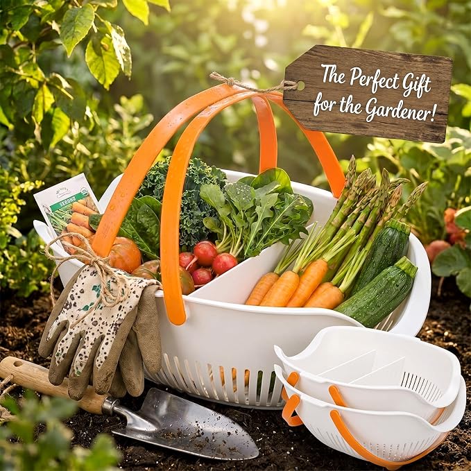 Nuogo 2 Pcs Garden Harvest Basket Removable Partitions with Tool Caddy for Collecting Carrying and Cleaning Harvesting Basket Doubles Colander for Vegetables and Fruits Garden Accessories (White) - Image 7