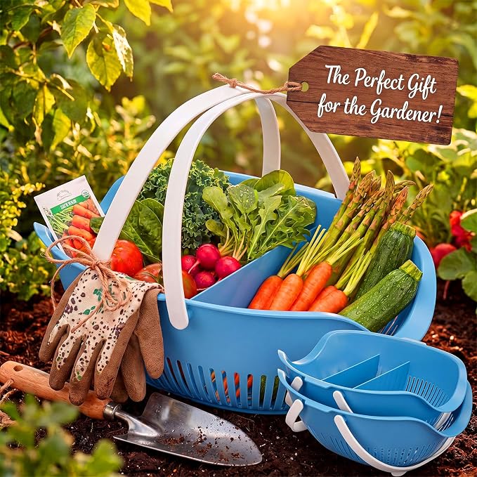 Nuogo 3 Pcs Garden Harvest Basket Removable Partitions with Tool Caddy for Collecting Carrying and Cleaning Harvesting Basket Doubles Colander for Vegetables and Fruits Garden Accessories(Blue) - Image 6