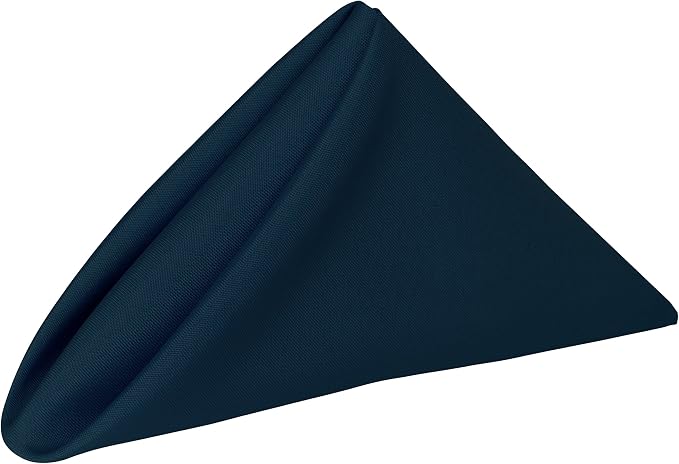 20x20-Inch Polyester Cloth Napkins, Lagoon, Set of 12 by UltimateTextile