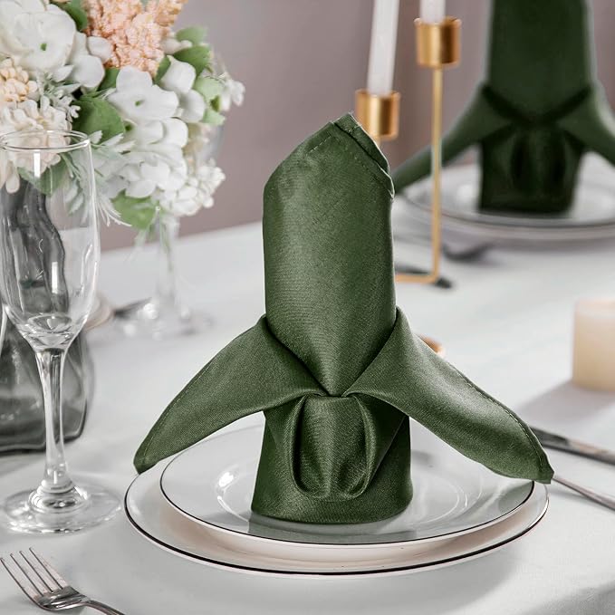 Bailarina Cloth Napkins Set of 40,17x17 inches Dinner Napkins Cloth Washable,Polyester Square Table Cloth Napkin Bulk with Hemmed Edges Ideal for Banquets, Parties and Weddings-Willow - Image 3