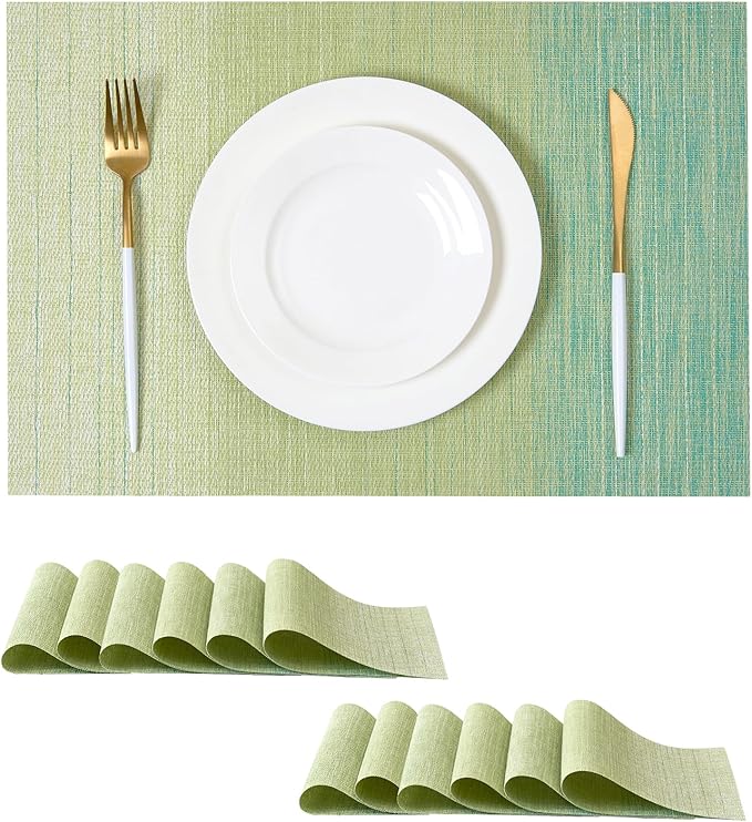 Leetaltree Gradient Green Woven Placemats Set of 24 - Heat Resistant Non-Slip Place mats for Dining Table, Washable Durable PVC Vinyl Woven Table Mats(Gradient Green, 24) by Leetaltree-ArtatEveryTable