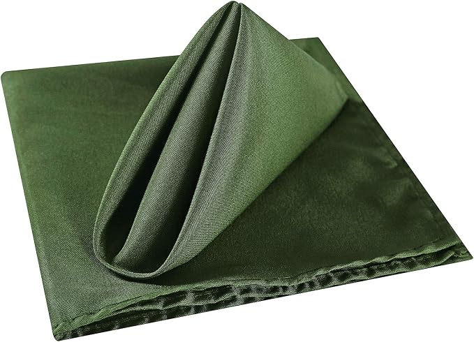Cloth Napkins 20x20 inch Washable Polyester Dinner Napkins Soft Table Napkins for Wedding Party Dining Banquet(Willow,25PCS) - Image 3