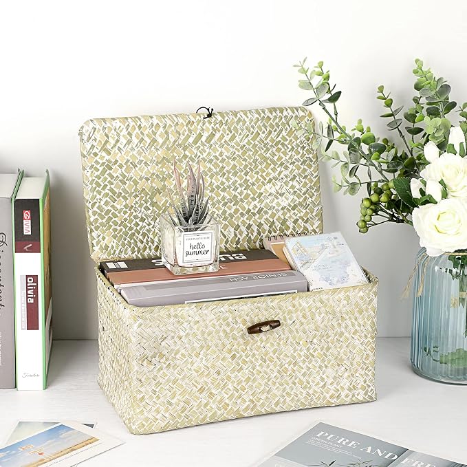 Hipiwe Wicker Shelf Baskets Bin with Lid, Large Seagrass Basket Storage Box | Handwoven Natural Baskets for Shelf Organizer, Rectangular Household Basket Boxes for Home Decor, Whitewash - Image 4