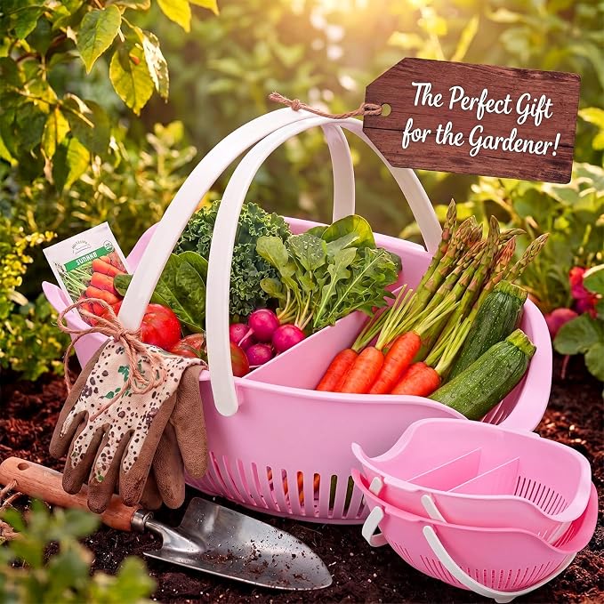Nuogo 3 Pcs Garden Harvest Basket Removable Partitions with Tool Caddy for Collecting Carrying and Cleaning Harvesting Basket Doubles Colander for Vegetables and Fruits Garden Accessories (Pink) - Image 6