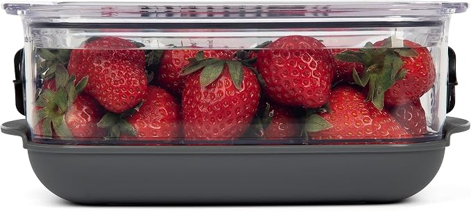 Progressive ProKeeper Stackable Produce ProKeeper Storage Container with Stay-Fresh Vent System (PKS-912 (1.2 qt Berry Keeper)) - Image 4