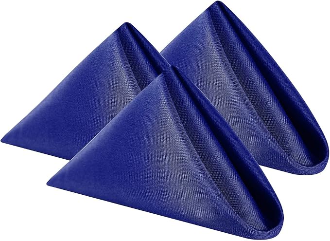 Cloth Napkins 20x20 inch Washable Polyester Dinner Napkins Soft Table Napkins for Wedding Party Dining Banquet(Royal Blue,25PCS) by Cupuamon